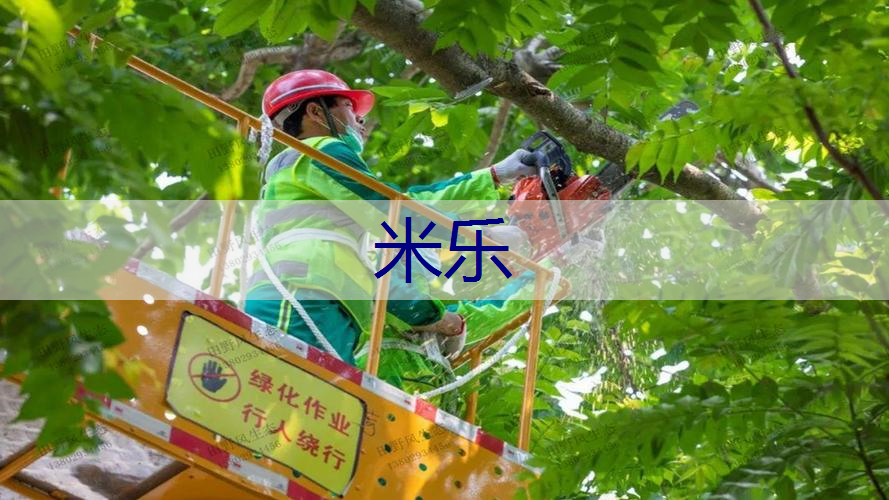 米乐m6官网登录入口：绿色低碳主题解读：这些金句直接用在写作！