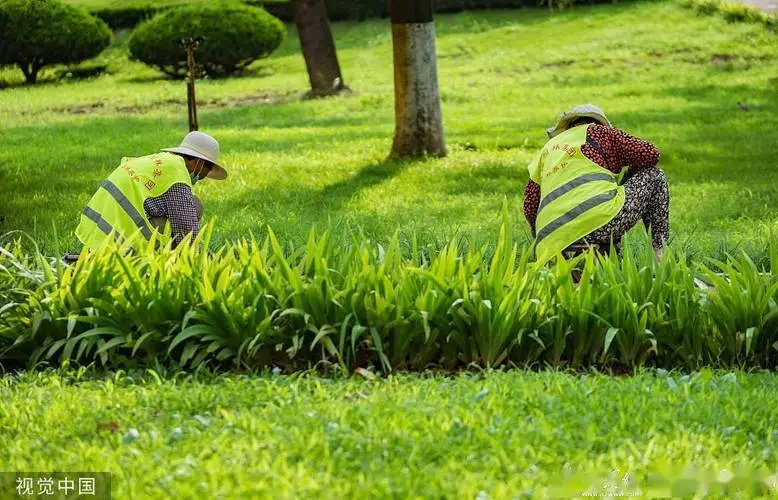 米乐m6官网登录入口：HDPE园林绿化管的性能优点与应用领域