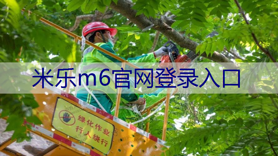<strong>米乐m6官网登录入口：造林绿化工程概念界定依据</strong>